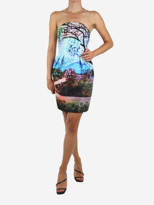 Mary Katrantzou Multicoloured landscape printed bustier dress - size UK 8
